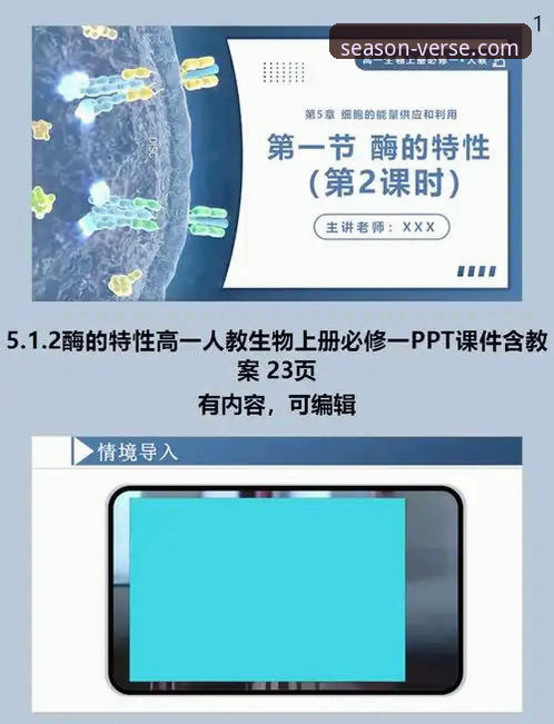 最新四季娱乐官网 四季官方网站详解:正版认证入口与高效使用指南